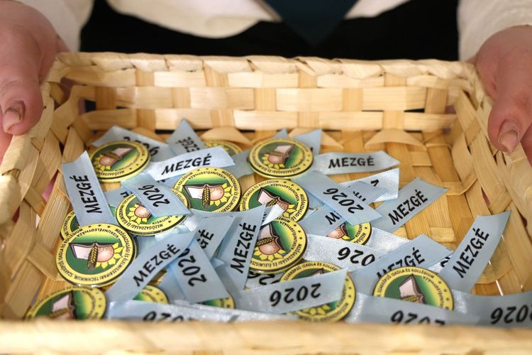 Mezgés Szalagozó – 2026. február 6. (Képek)