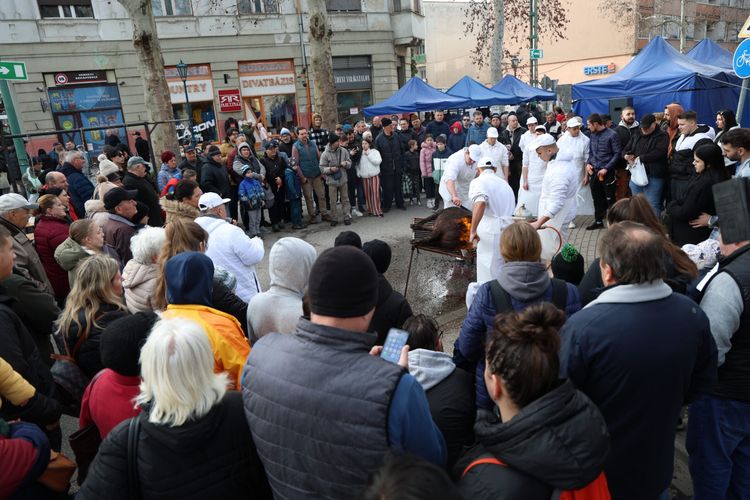 Kiemelt érdeklődés mellett zajlott a 8. Mezgés Disznótor!