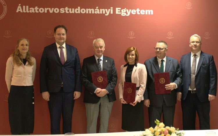 Országosan egyedülálló lehetőség a kiskunfélegyházi Mezgében!