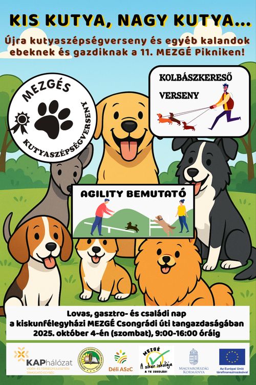 Kutyaszépségverseny a 11. MEZGÉ Pikniken