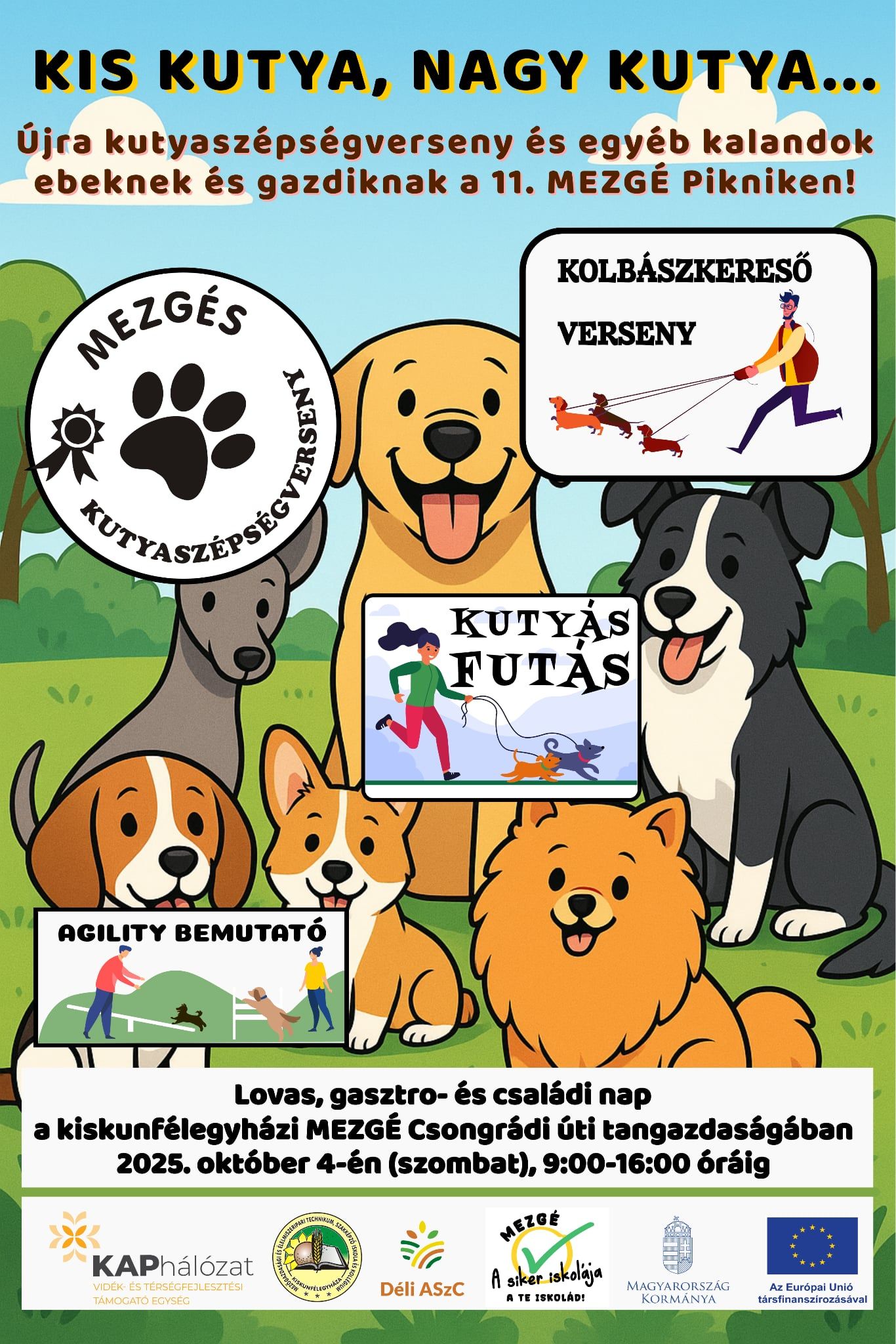 piknik11_kutya_futás.jpg